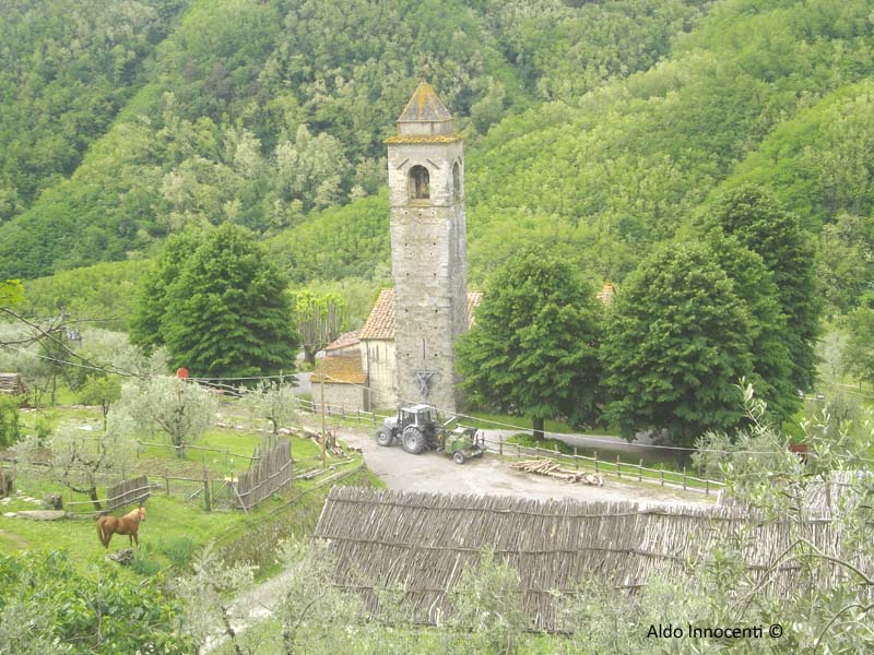 PIEVE DI SATURNANA 10